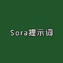 Sora专属提示词