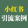 小红书引流变现案例库