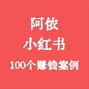 小红书100个赚钱案例