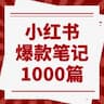 小红书爆款笔记1000篇