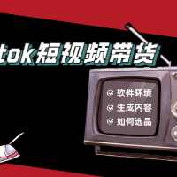 Tiktok新手入门短视频和店铺运营