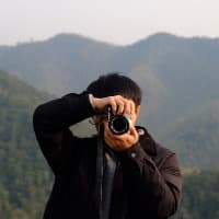 大华